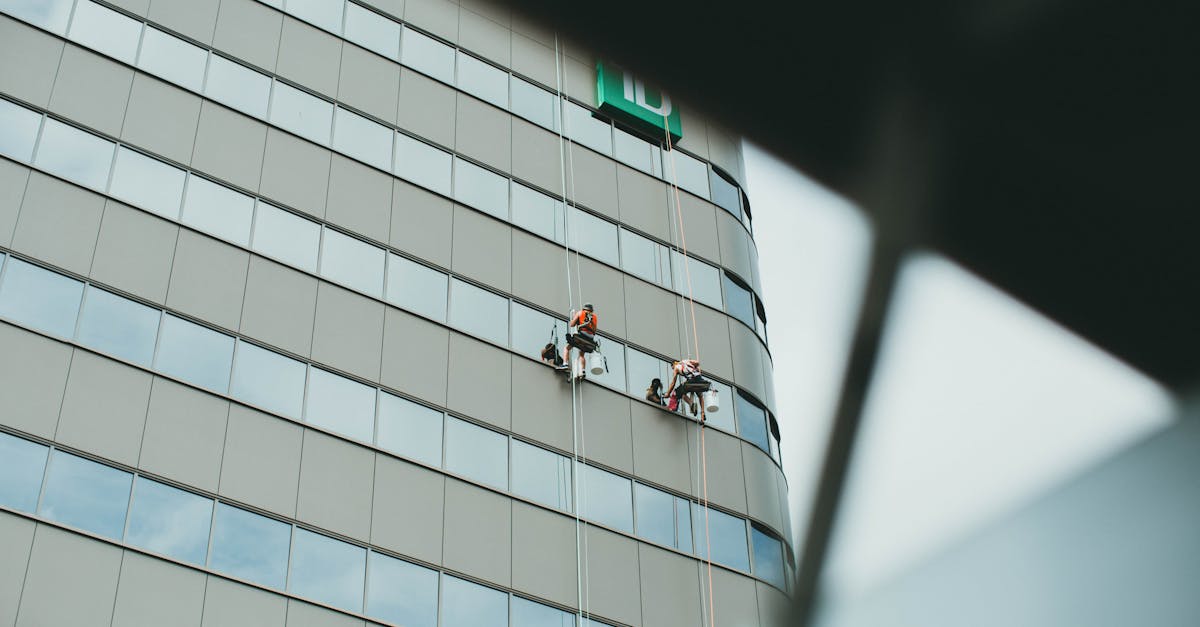 Creating a Safer Workplace with Professional Cleaning Practices
