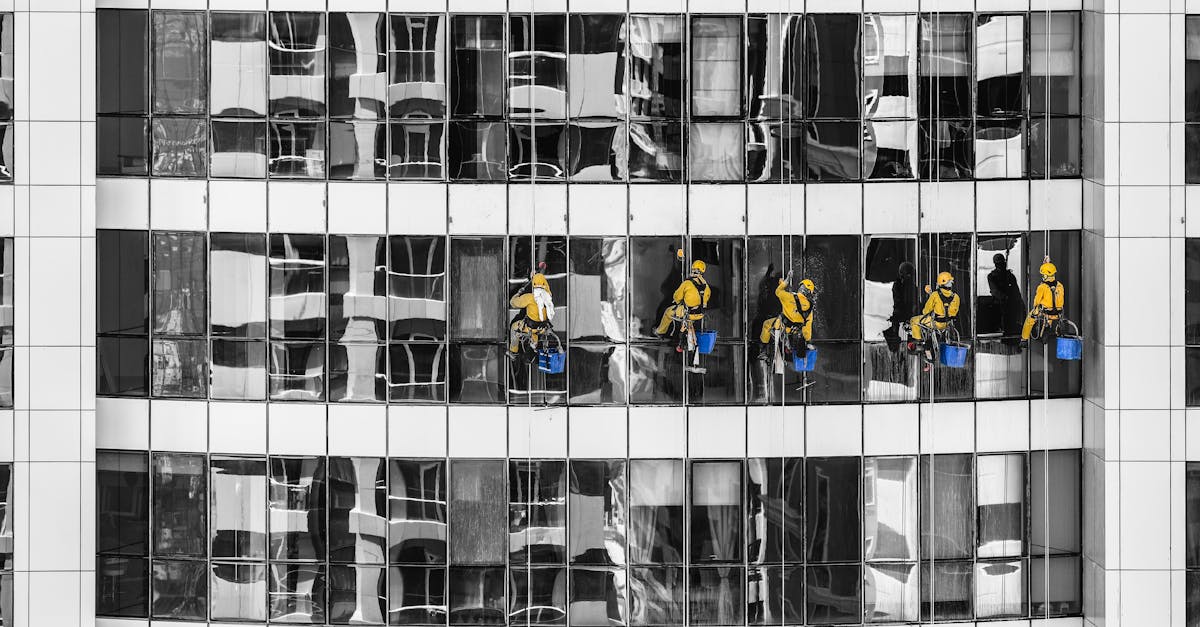 Exploring the Role of Reviews in Choosing a Safe Cleaning Company