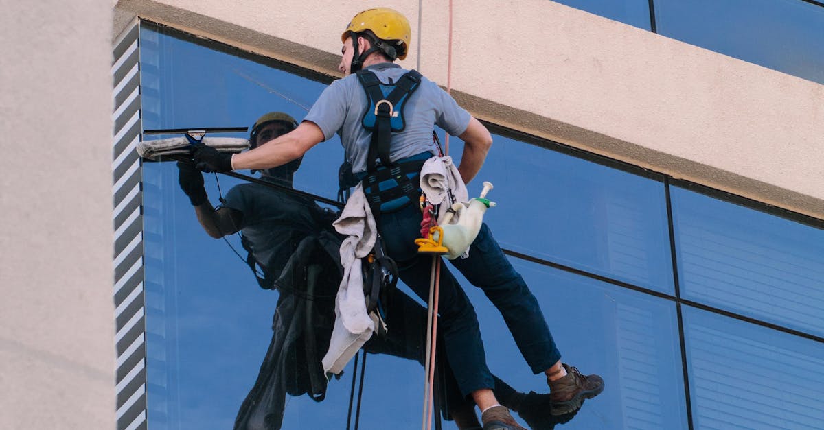 How Does the Cleaning Service Handle Customisation of Their Offerings?