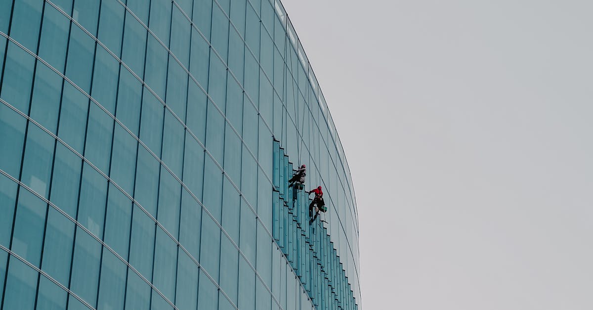 Maximising Efficiency: The Cost Benefits of Professional Cleaning
