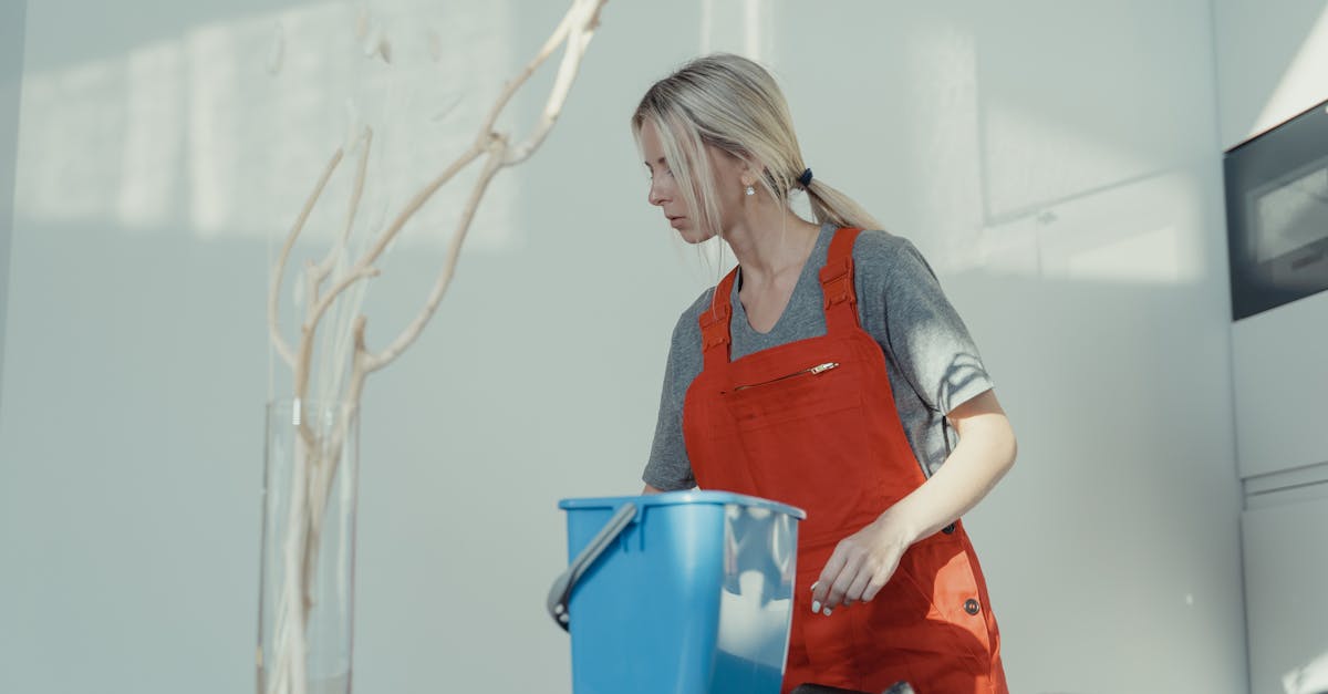 Strategies for Maintaining Cleanliness in Shared Office Spaces