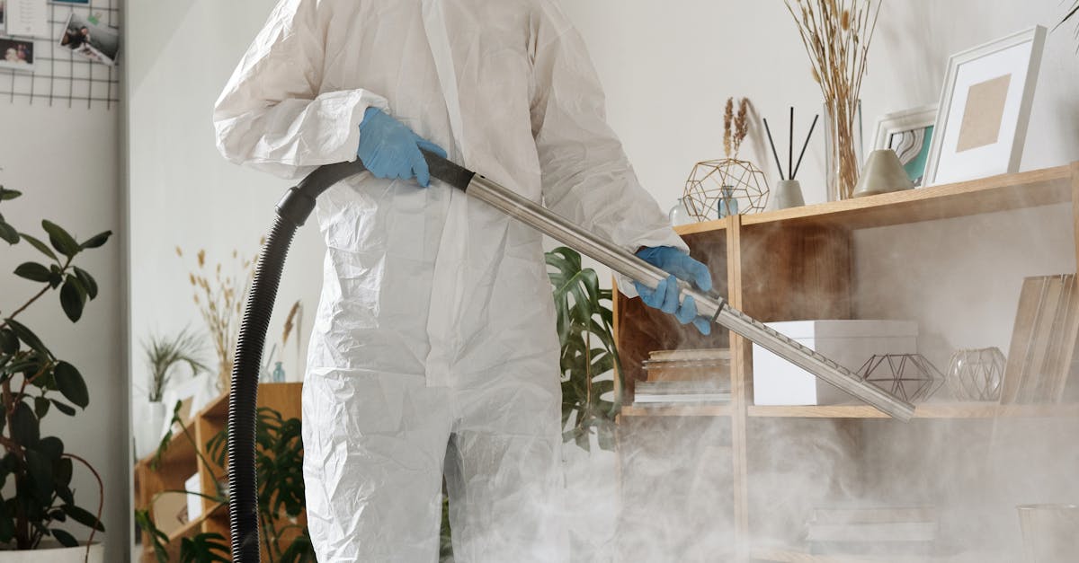 Strategies for Seeking Authentic Reviews on Cleaning Service Providers