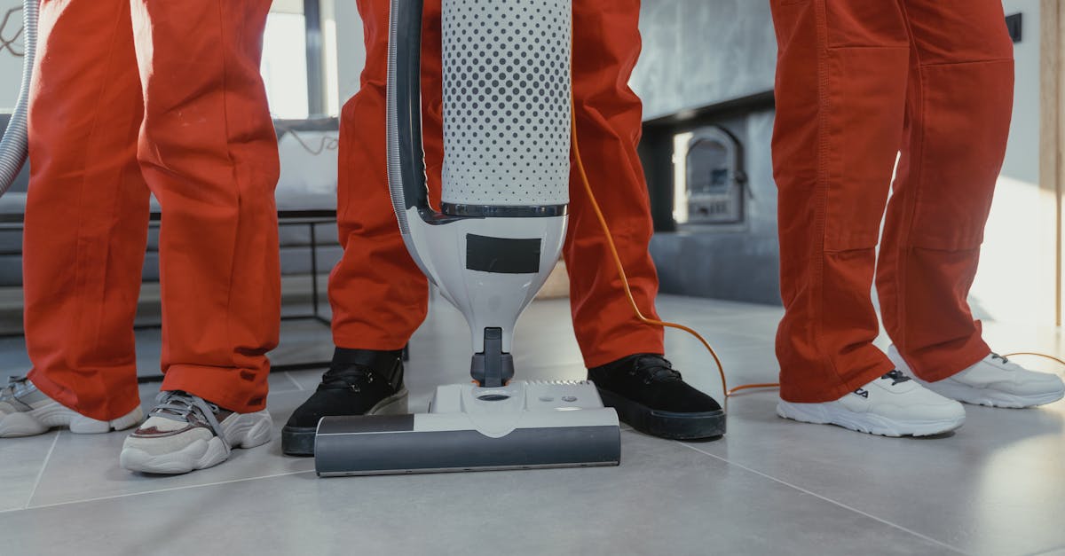 The Importance of Biodegradable Products in Professional Cleaning