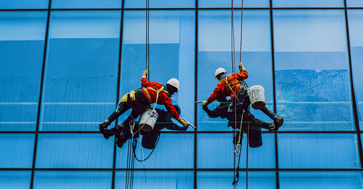 The Importance of Local Knowledge in Cleaning Services